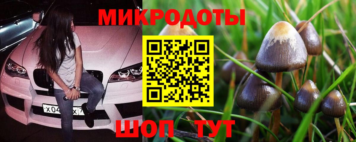 Магнитогорск  закладки  Вход с VPN  Псилоцибиновые грибы мицелий  Псилоцибиновые грибы Psilocybine cubensis 