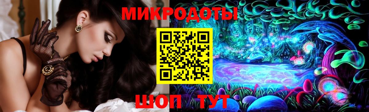 Псилоцибиновые грибы Psilocybe Магнитогорск